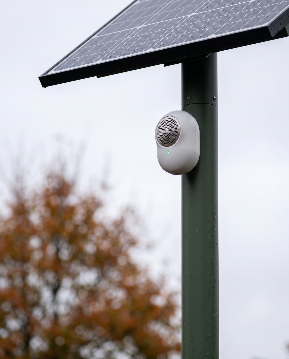 Close-up of the white sensor pod and solar canopy at the top of the bench mast